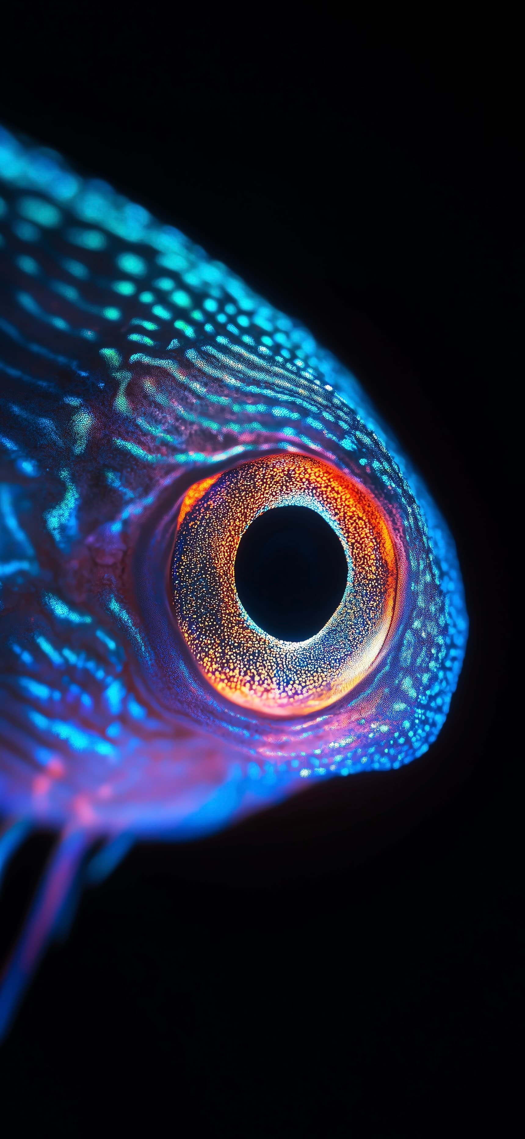 Iridescent Fish