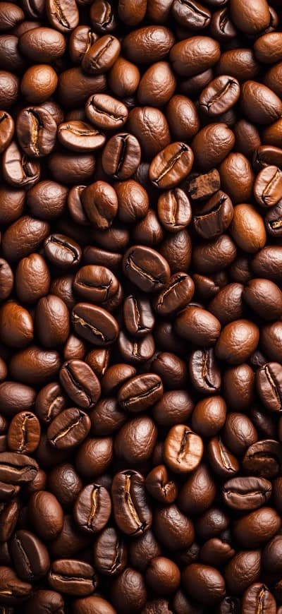 Coffee Beans