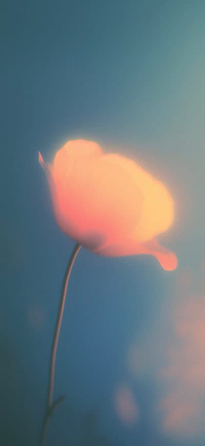 Glowing Flower