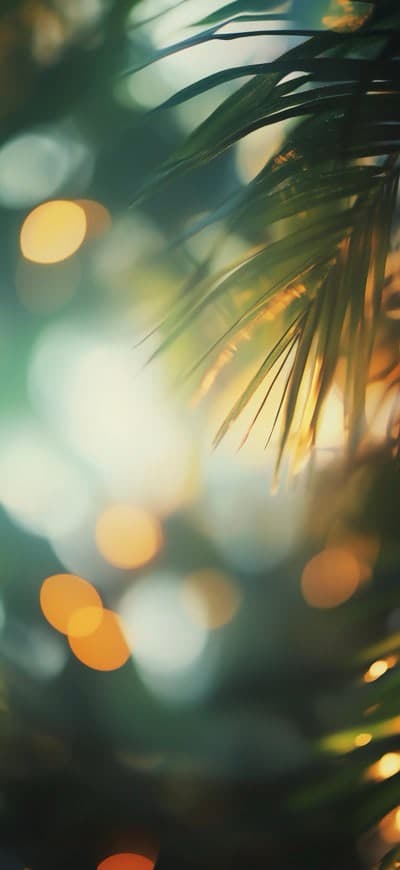Tropical Lens Blur