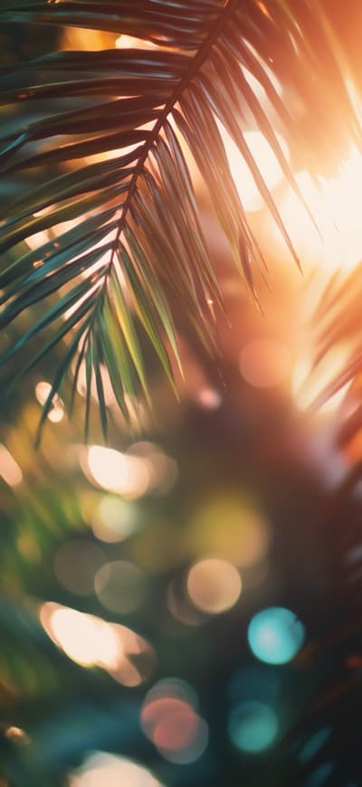 Tropical Lens Blur