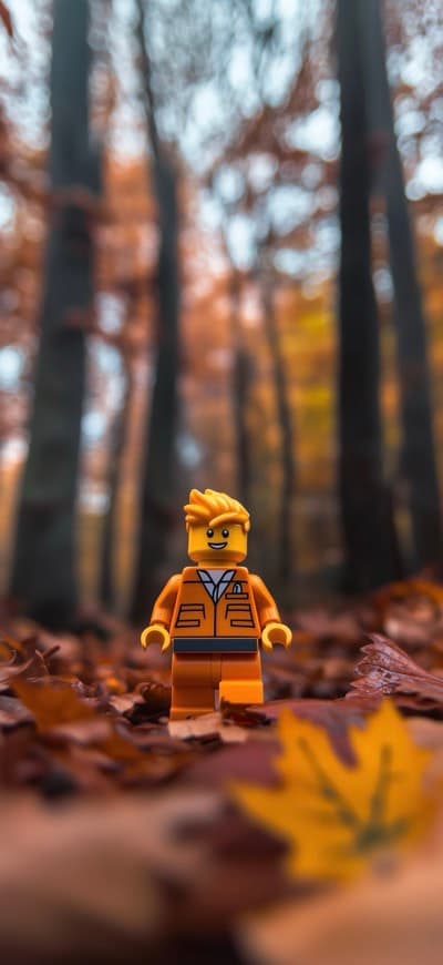 Lego Guy Standing In Dry Forest