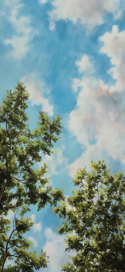 Cloudly Sky Bottom Up View