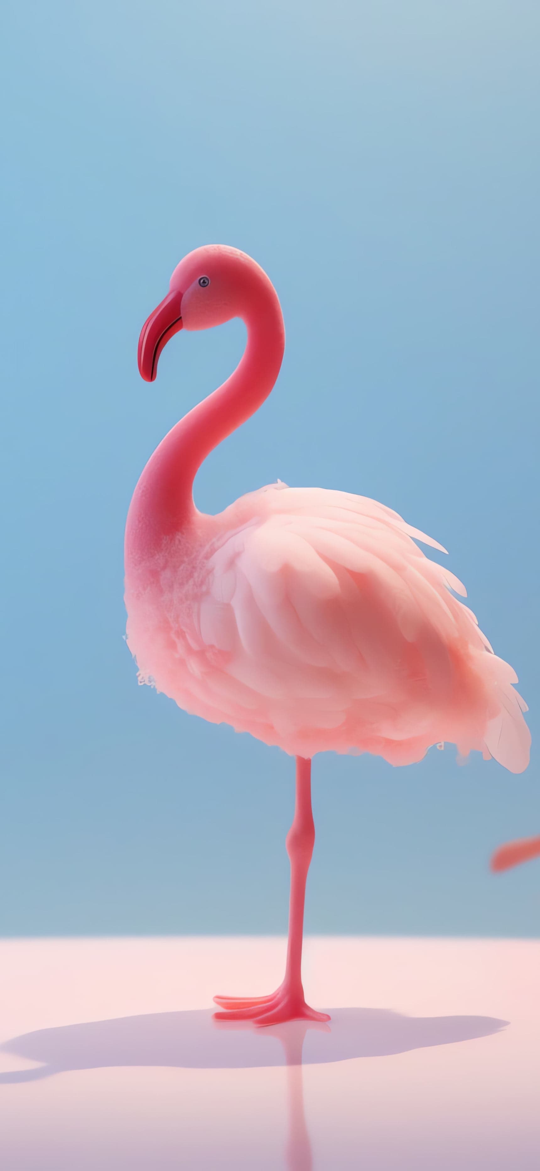 Flamingo