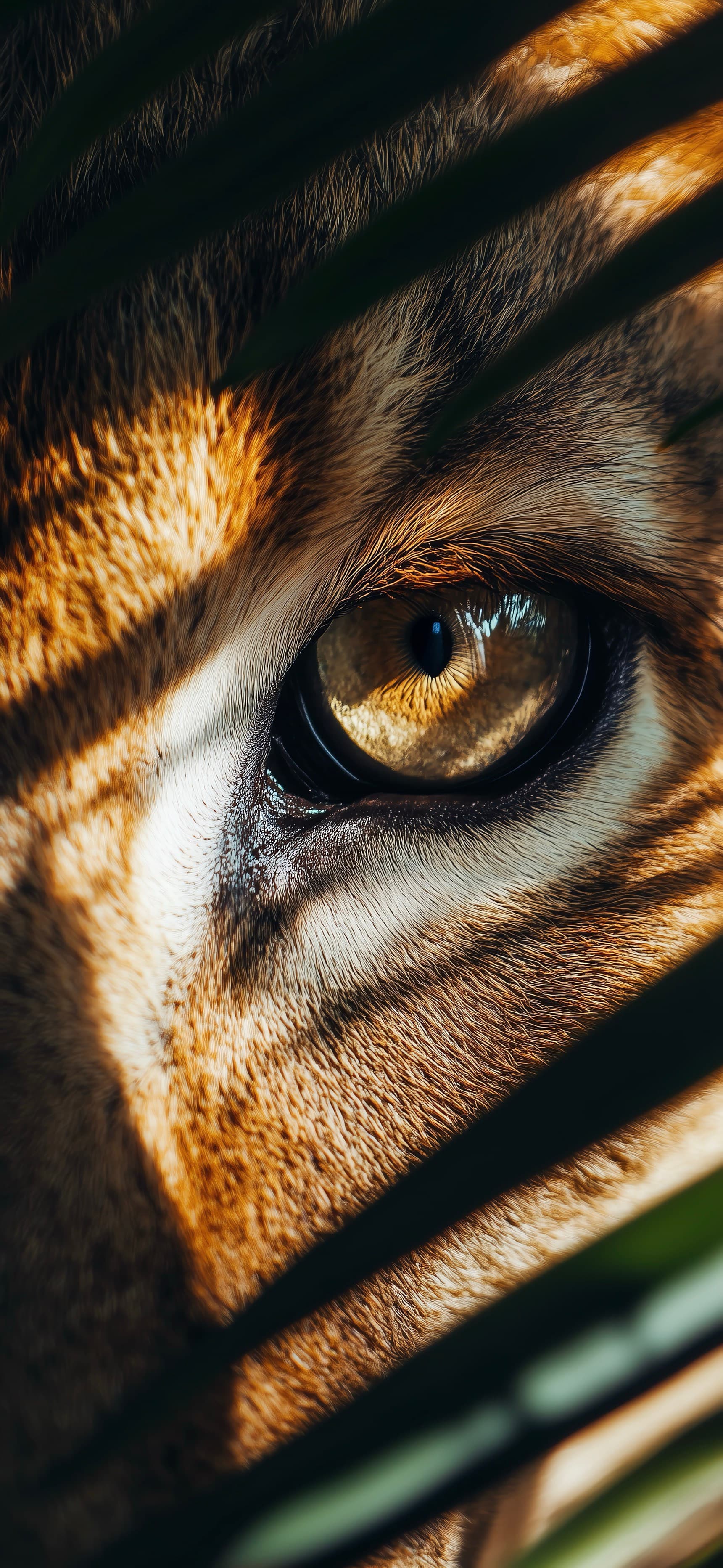 Lion Hidding Behind Dense Leafs