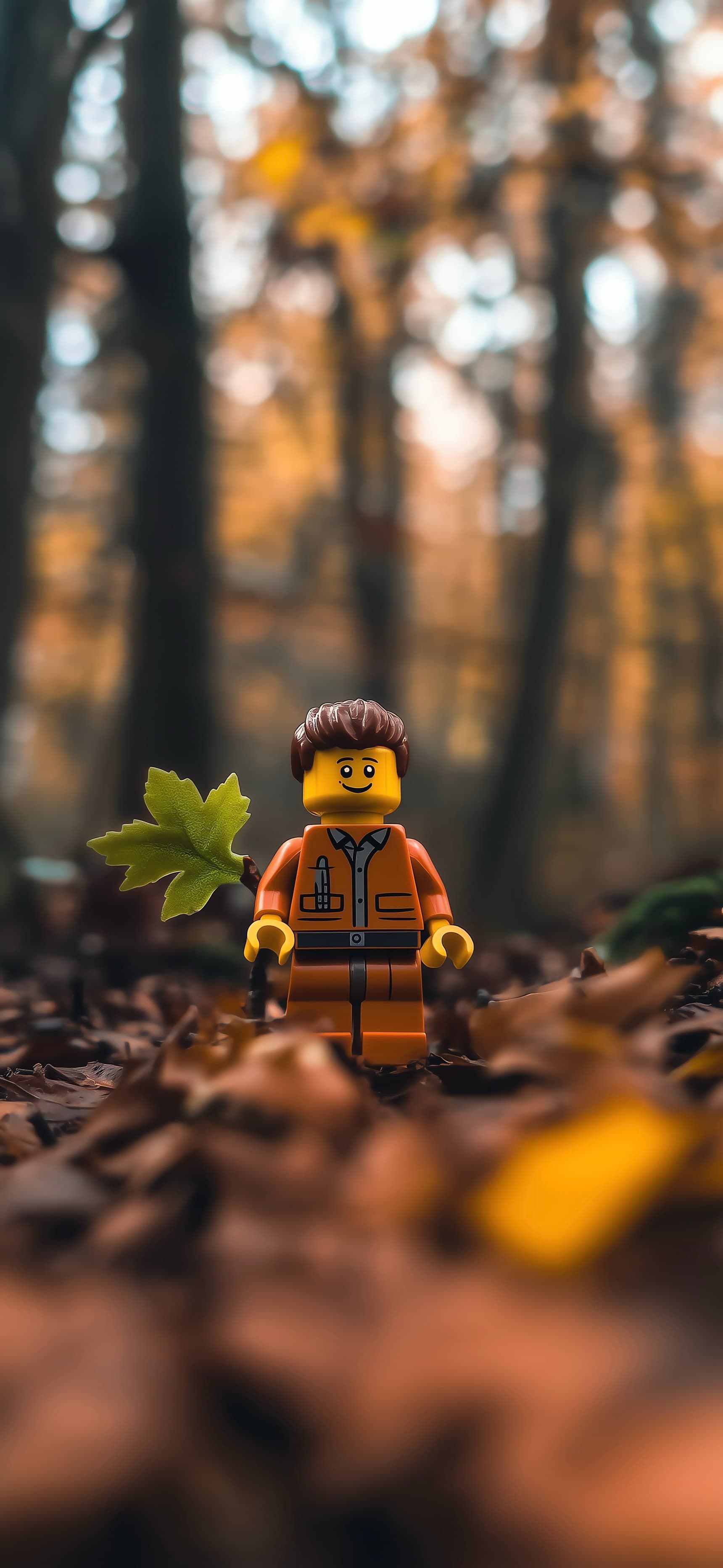Lego Guy Standing In Dry Forest