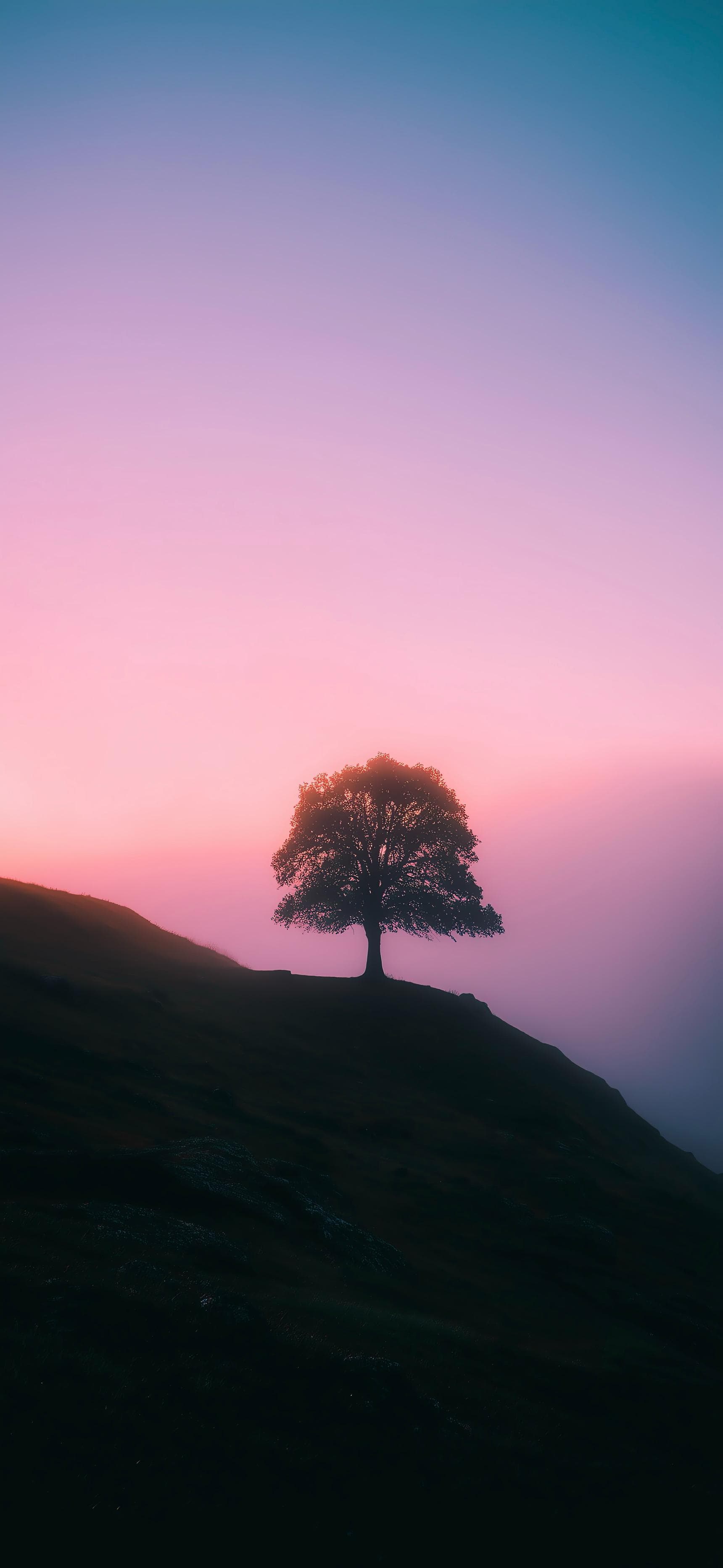 Lone Tree On A Foggy Hill