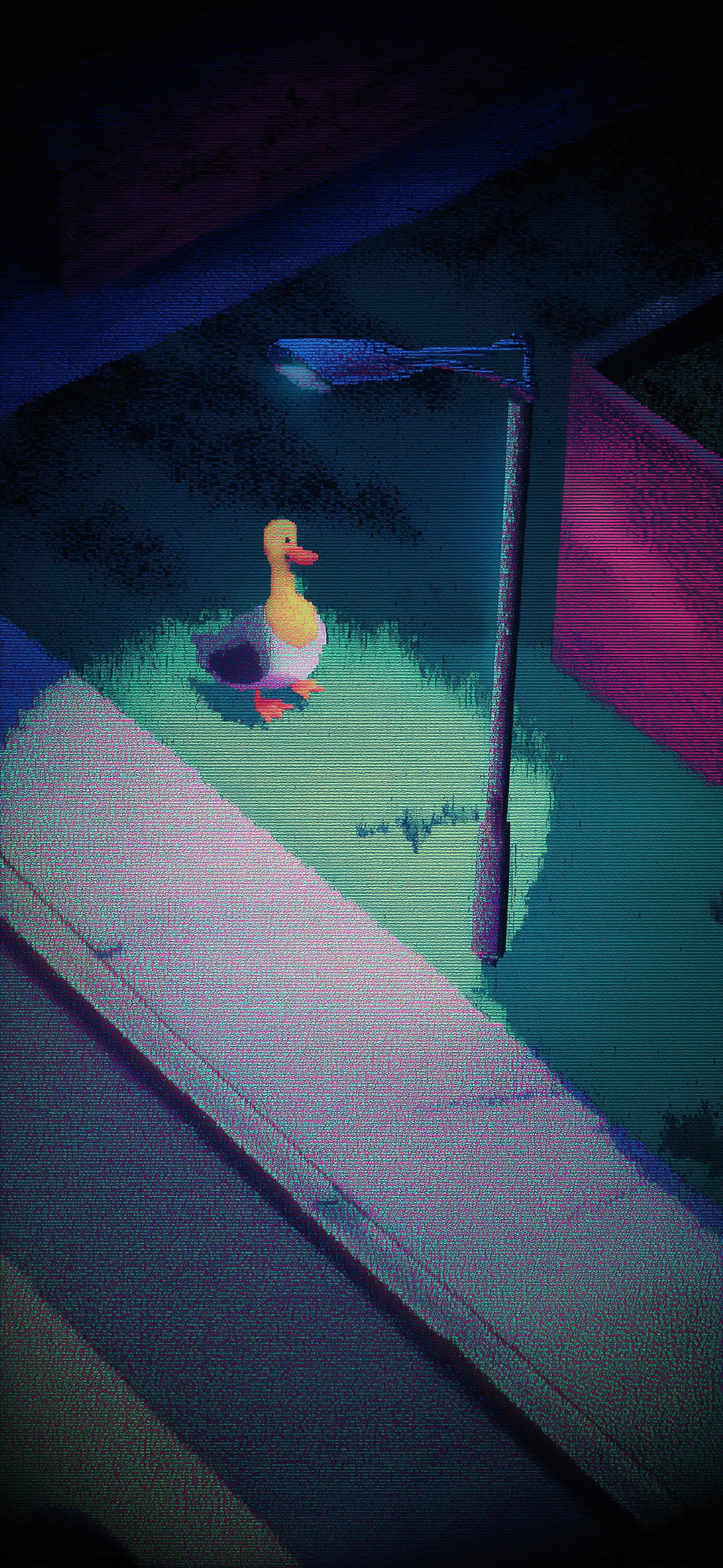 Duck On The Road Side