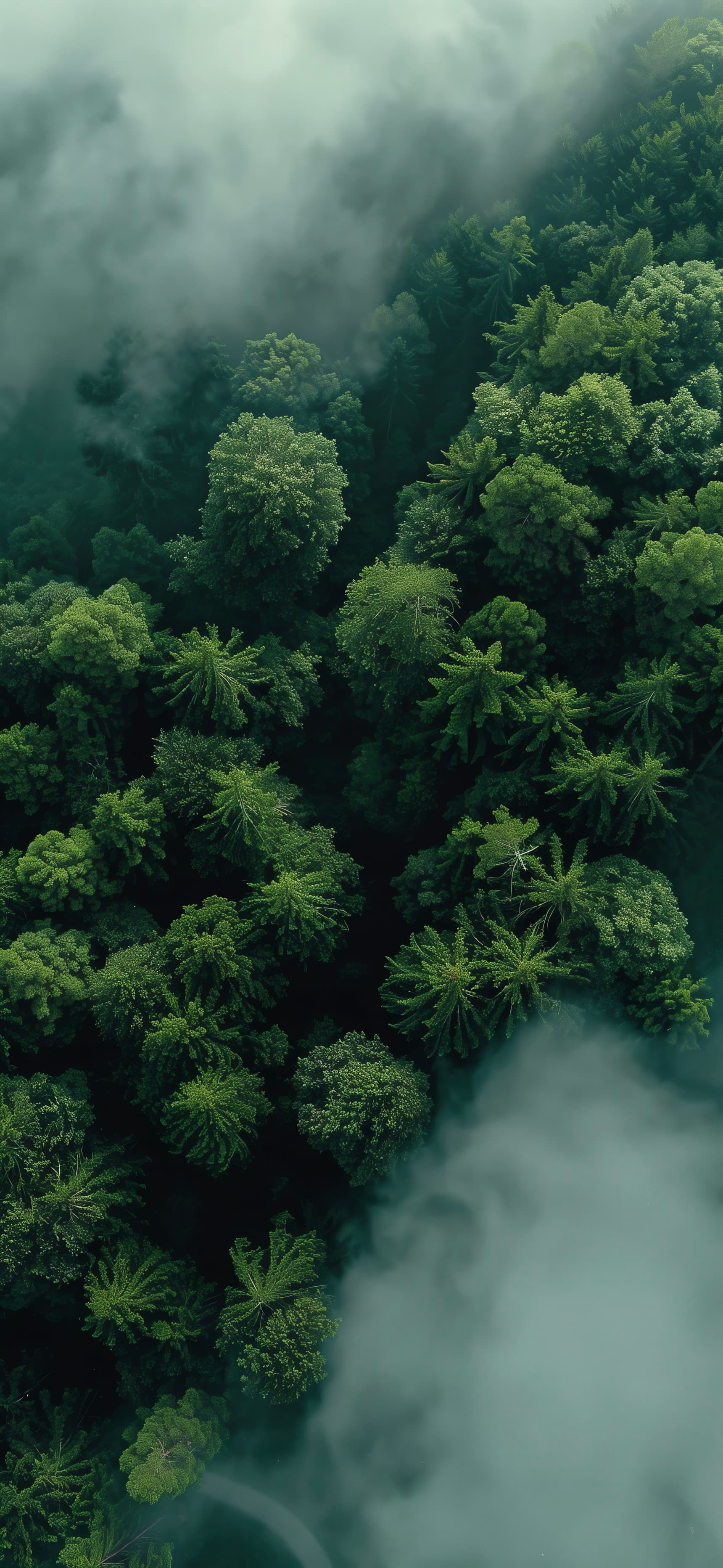 Above The Clouds 3 (varient)