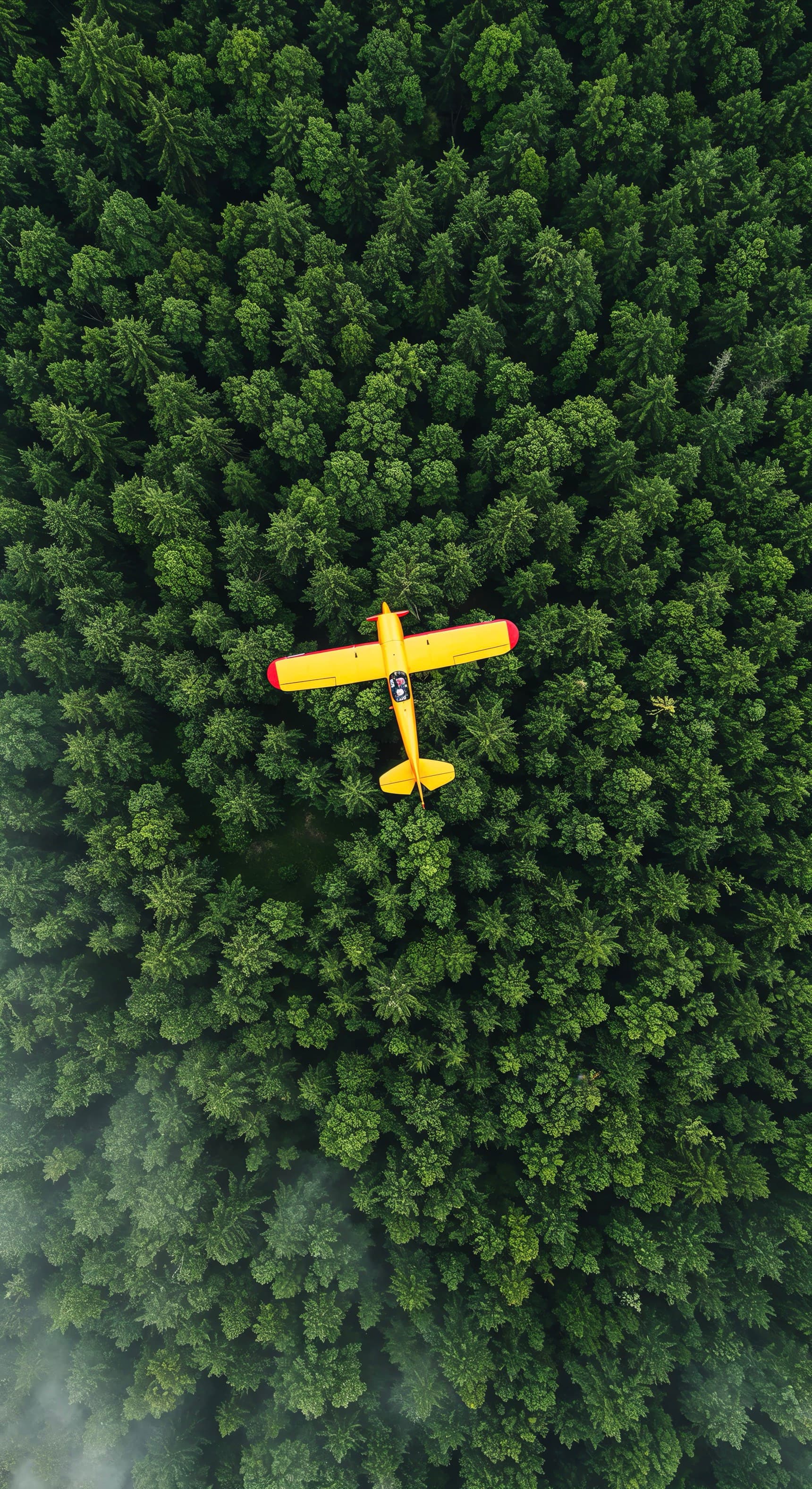 Aerial View Of Airplane