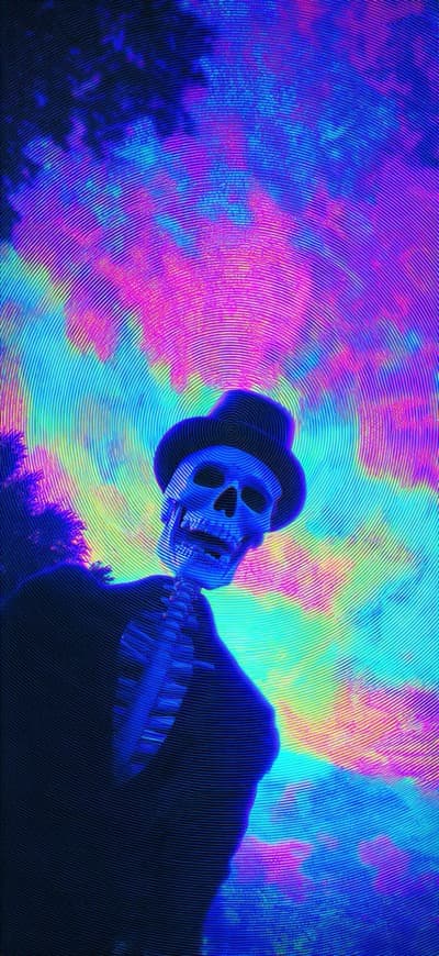 Colorful Skull