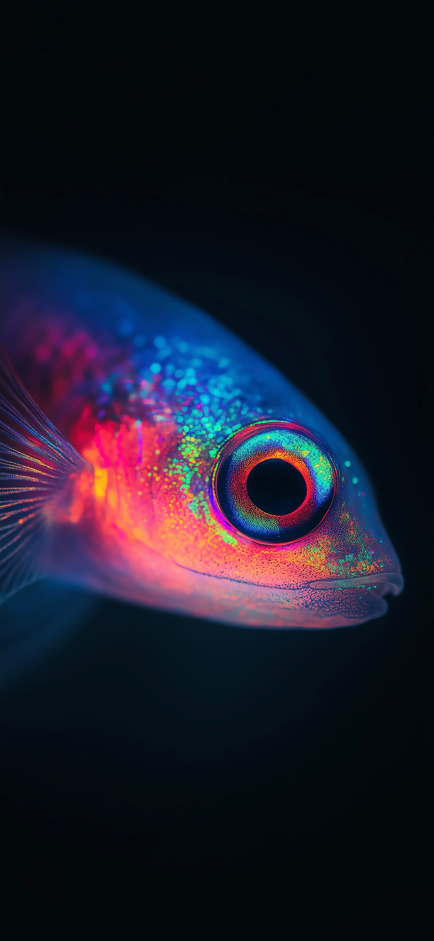 Iridescent Fish